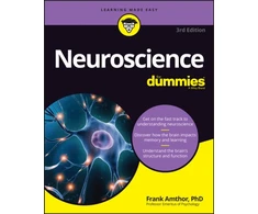 KNYGA Frank Amthor Neuroscience For Dummies