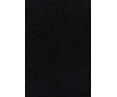 KNYGA Frank Charles Thompson KJV, Thompson Chain-Reference Bible, Large Print, Bonded Leather, Juodas, Raudona Letter, Thumb Indexed, Comfort Print