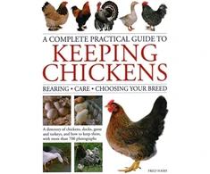 KNYGA Fred Hams Keeping Chickens, Complete Practical Guide to, Rearing; Care; Choosing Your Breed: A directory of chickens, ducks, geese and turkeys, and how to keep them, with over 700 photographs