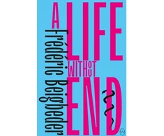 KNYGA Frederic Beigbeder Beigbeder Frederic Life Without End