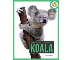 KNYGA Gah Spotlight on Nature: Koala