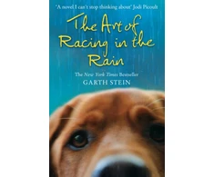KNYGA Garth Stein Art of Racing in the Rain