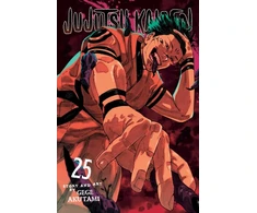KNYGA Gege Akutami Akutami Gege Jujutsu Kaisen, Vol. 25