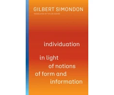 KNYGA Gilbert Simondon Individuation in Light of Notions of Form and Information