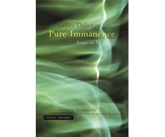 KNYGA Gilles Deleuze Pure Immanence