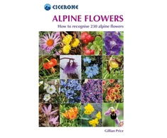 KNYGA Gillian Price Alpine Flowers