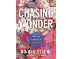 KNYGA Ginger Stache Chasing Wonder