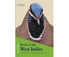 KNYGA Guy M Kirwan Birds of the West Indies