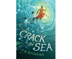 KNYGA H M Bouwman Crack in the Sea