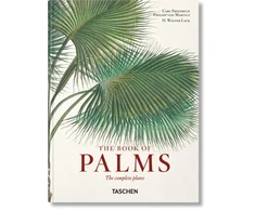 KNYGA H Walter Lack Martius. The Book of Palms. 45th Ed.