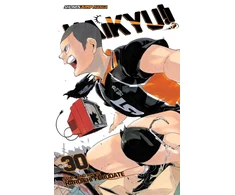KNYGA Haikyu!!, Vol. 30
