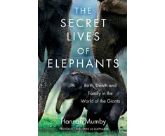 KNYGA Hannah Mumby Secret Lives of Elephants