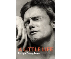 KNYGA Hanya Yanagihara Little Life