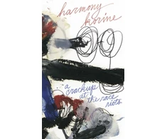 KNYGA Harmony Korine Crackup at the Race Riots