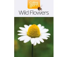 KNYGA Harpercollins Publishers Wild Flowers
