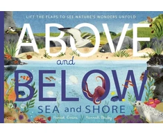 KNYGA Harriet Evans Above and Below: Sea and Shore