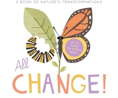 KNYGA Harriet Evans All Change