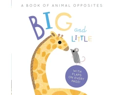 KNYGA Harriet Evans Big and Little