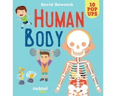 KNYGA Hawcock David Žmogaus kūnas