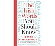 KNYGA Hector O Heochagain Irish Words You Should Know