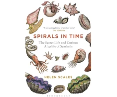 KNYGA Helen Scales Spirals in Time