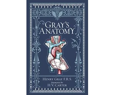 KNYGA Henry Gray Frs Gray Henry Gray's Anatomy