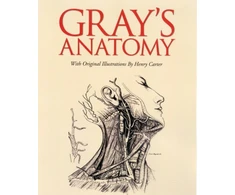 KNYGA Henry Gray Frs Grays Anatomy