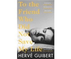 KNYGA Herve Guibert To the Friend Who Did Not Save My Life