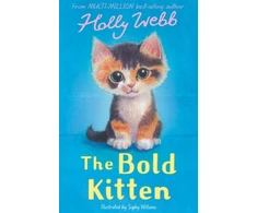 KNYGA Holly Webb Bold Kitten