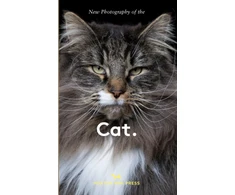 KNYGA Hoxton Mini Press New Photography of the Cat., The best new photography of cats.