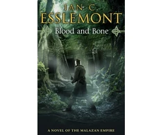 KNYGA Ian C Esslemont Blood and Bone