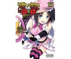 KNYGA Ichiei Ishibumi High School DxD, Vol. 15 (light novel)