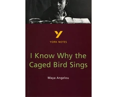 KNYGA Imelda Pilgrim I Know Why the Caged Bird Sings everything you need to catch up, study and prepare for the 2025 and 2026 exams