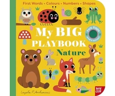 KNYGA Ingela P Arrhenius My BIG Playbook: Nature