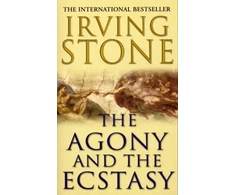 KNYGA Irving Stone Agony And The Ecstasy