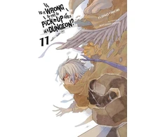KNYGA Is It Wrong to Try to Pick Up Girls in a Dungeon?, Vol. 11 (light novel)