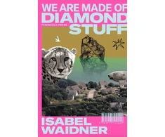 KNYGA Isabel Waidner We are Made of Diamond Stuff