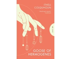 KNYGA Ithell Colquhoun Goose of Hermogenes