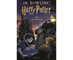 KNYGA J K Rowling Harry Potter and the Philosopher's Stone (Irish)