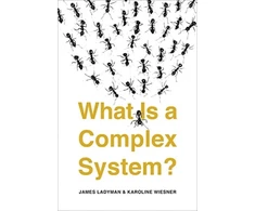 KNYGA J Ladyman What Is a Complex System?