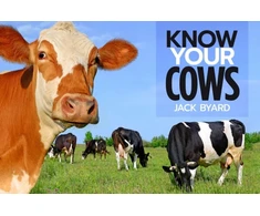 KNYGA Jack Byard Know Your Cows