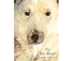 KNYGA Jackie Morris Ice Bear, The