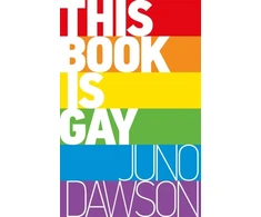 KNYGA James Dawson This Book is Gay
