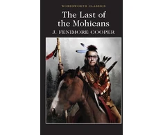 KNYGA James Fenimore Cooper Last of the Mohicans