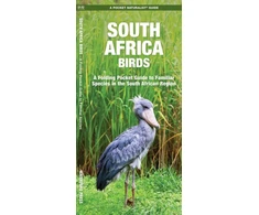 KNYGA James Kavanagh South Africa Birds
