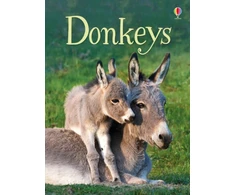 KNYGA James Maclaine Donkeys