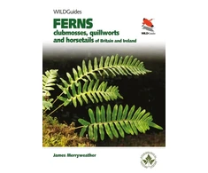 KNYGA James Merryweather Ferns