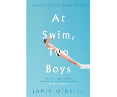 KNYGA Jamie Oneill At Swim, Two Boys