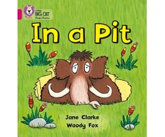 KNYGA Jane Clarke In a Pit