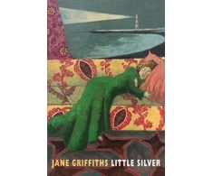 KNYGA Jane Griffiths Little Sidabrinis